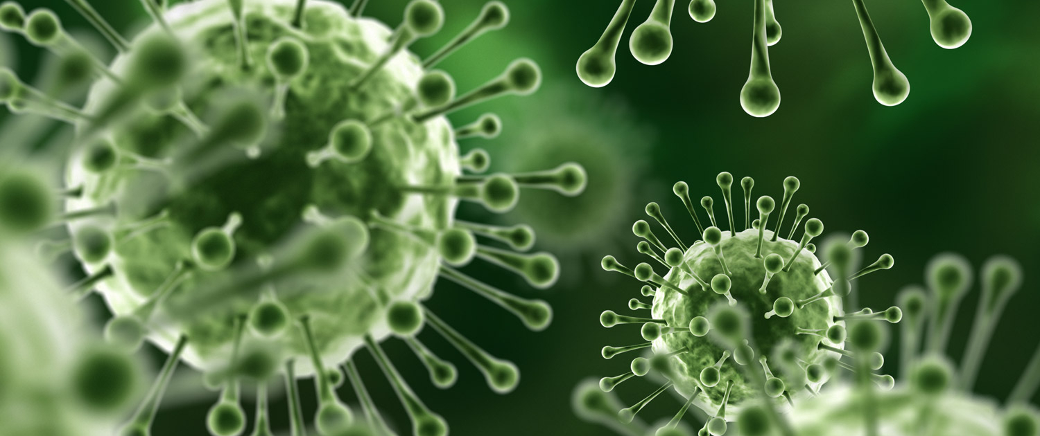 Influenzaviren (Influenza) und Coronaviren gehören zu den umhüllten Viren